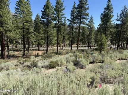 3265 Summit Camp Way, Lot #C24/310, Carson City, NV 89705 Photo