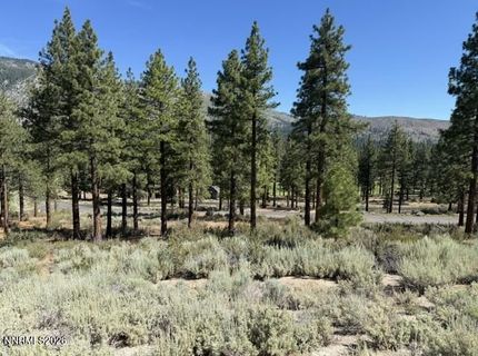 3265 Summit Camp Way, Lot #C24/310, Carson City, NV 89705 Photo