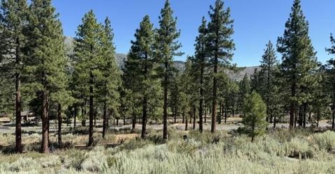 3265 Summit Camp Way, Lot #C24/310, Carson City, NV 89705 Photo
