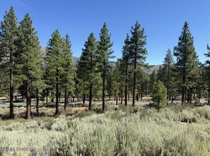 3265 Summit Camp Way, Lot #C24/310, Carson City, NV 89705 Photo