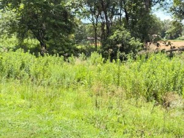 Sequoyah Way , Russellville, AR 72801
