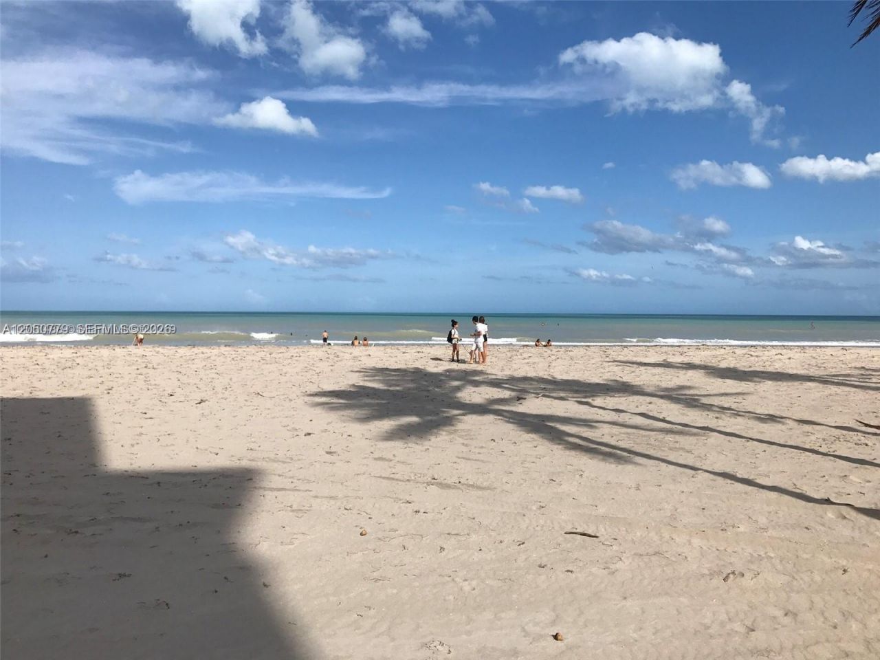 2145 Pierce St , Unit 416, Hollywood, FL 33020 Photo