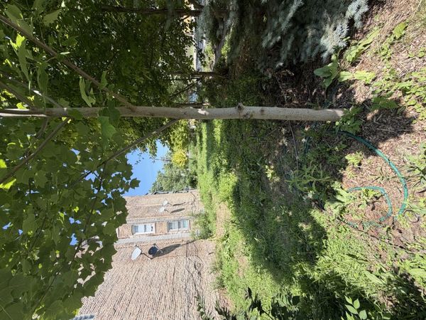 1449 S Spaulding Avenue , Chicago, IL 60623
