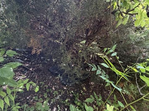 Main Photo