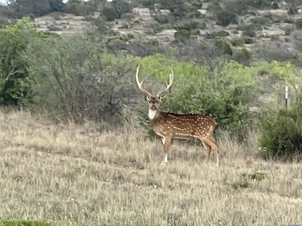 21 N HIGH LONESOME RANCH, Comstock, TX 78837
