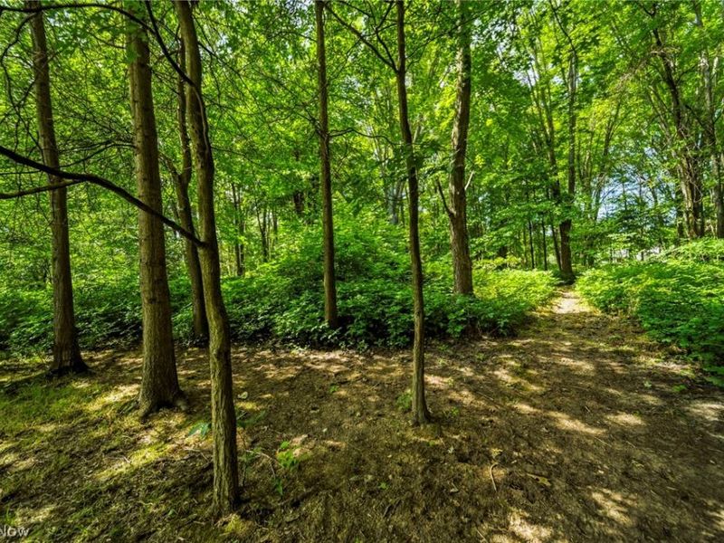 38541 Bell Road, Willoughby, OH 44094 Photo 37