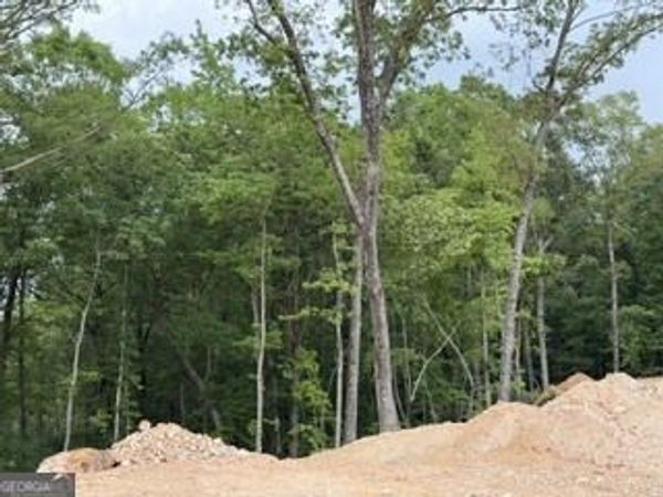 2180 Dunn Rd Road, Molena, GA 30258