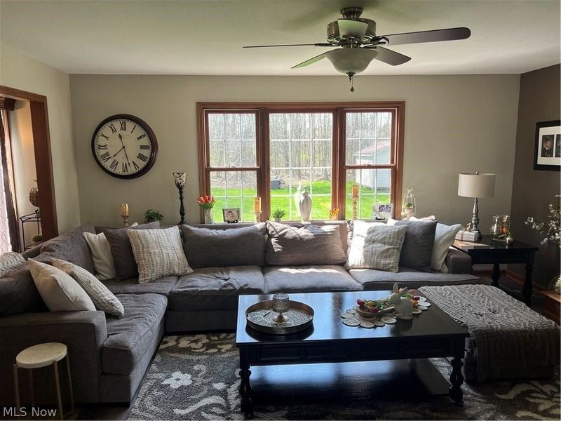 10520 Carrousel Woods Drive, New Middletown, OH 44442 Photo 16