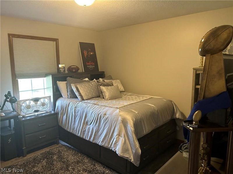 10520 Carrousel Woods Drive, New Middletown, OH 44442 Photo 38