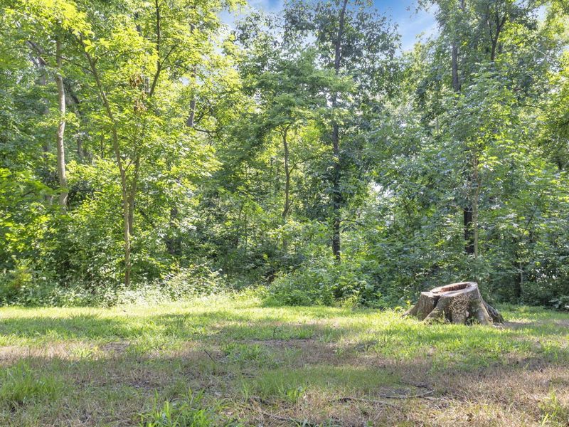 5531 SR 752, Ashville, OH 43103 Photo 57