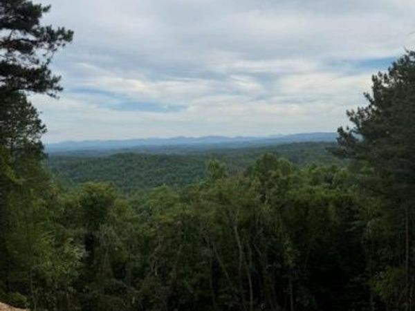 0 Lookout Drive, Blue Ridge, GA 30015