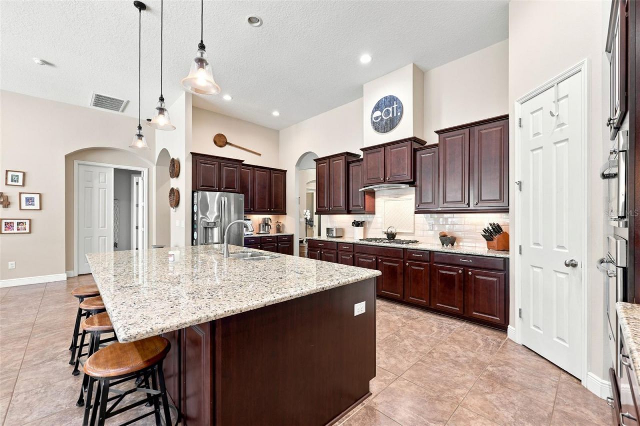 15512 Mossy Ridge Lane, Lithia, FL 33547 Photo