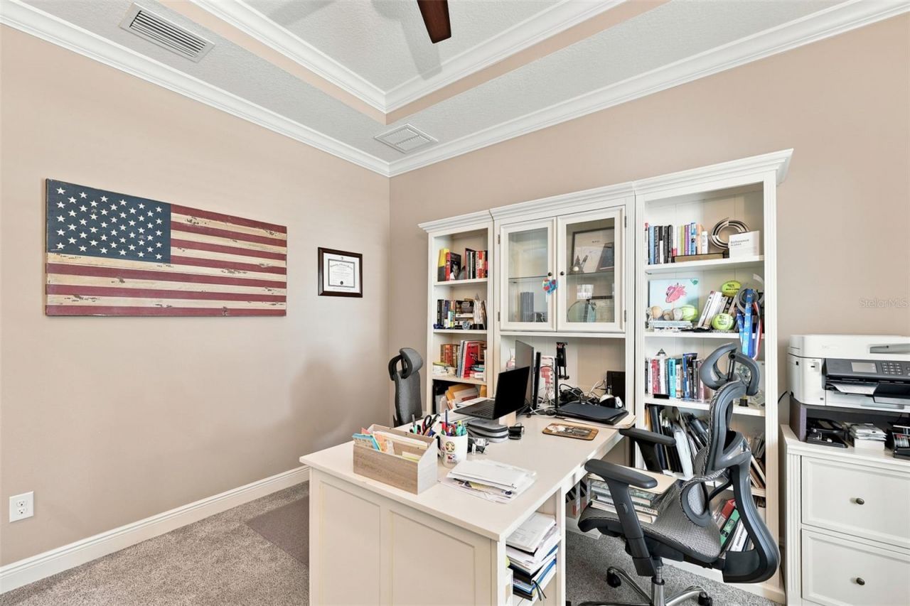 15512 Mossy Ridge Lane, Lithia, FL 33547 Photo