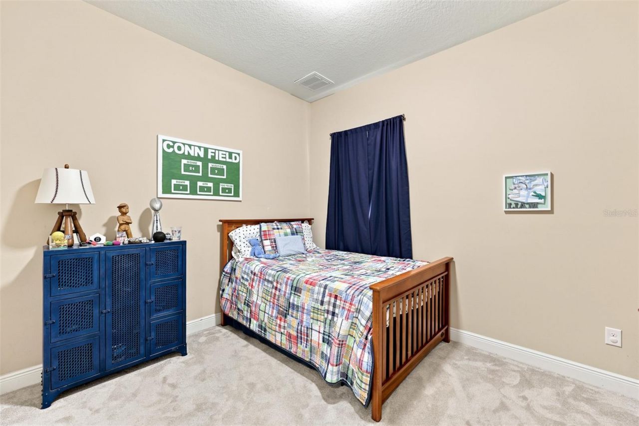 15512 Mossy Ridge Lane, Lithia, FL 33547 Photo