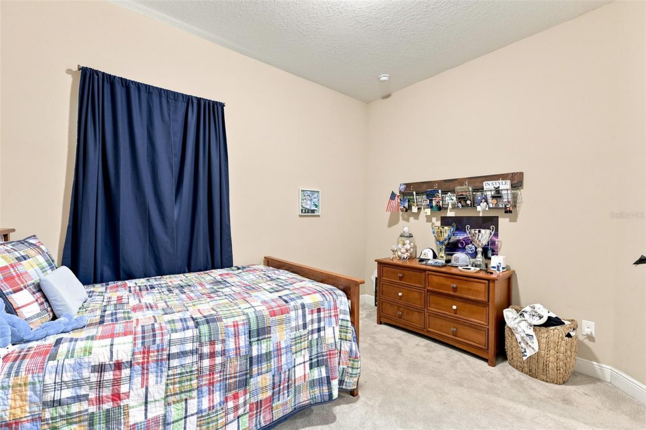 15512 Mossy Ridge Lane, Lithia, FL 33547 Photo
