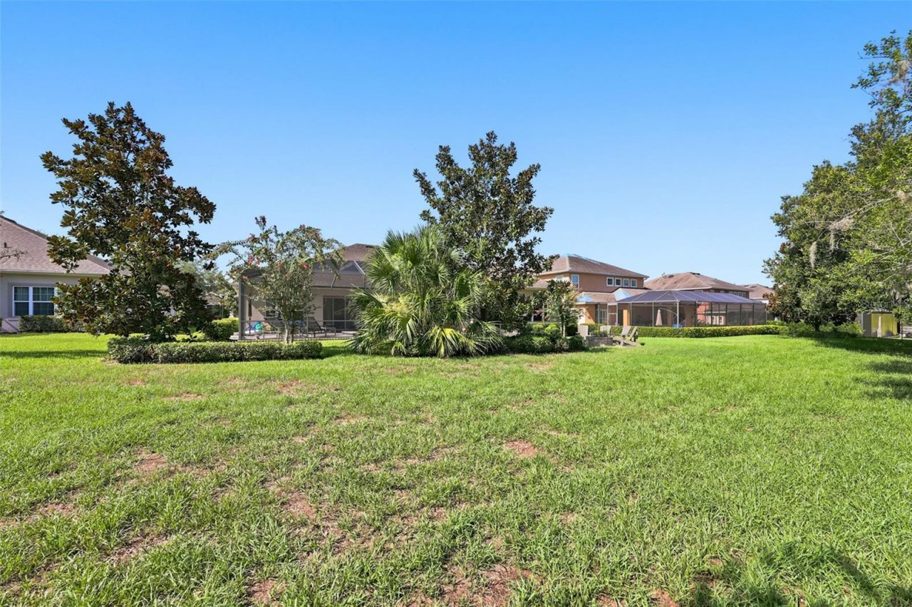 15512 Mossy Ridge Lane, Lithia, FL 33547 Photo