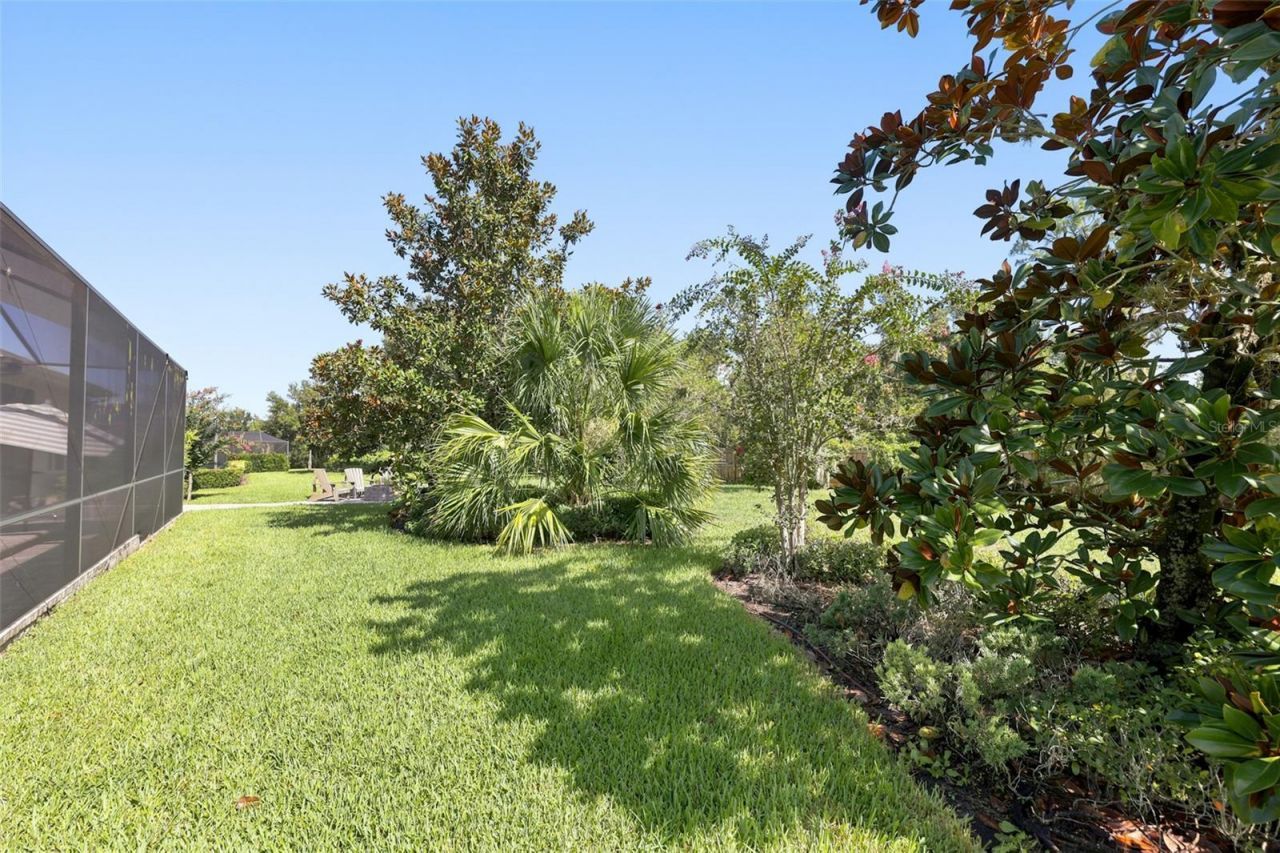 15512 Mossy Ridge Lane, Lithia, FL 33547 Photo