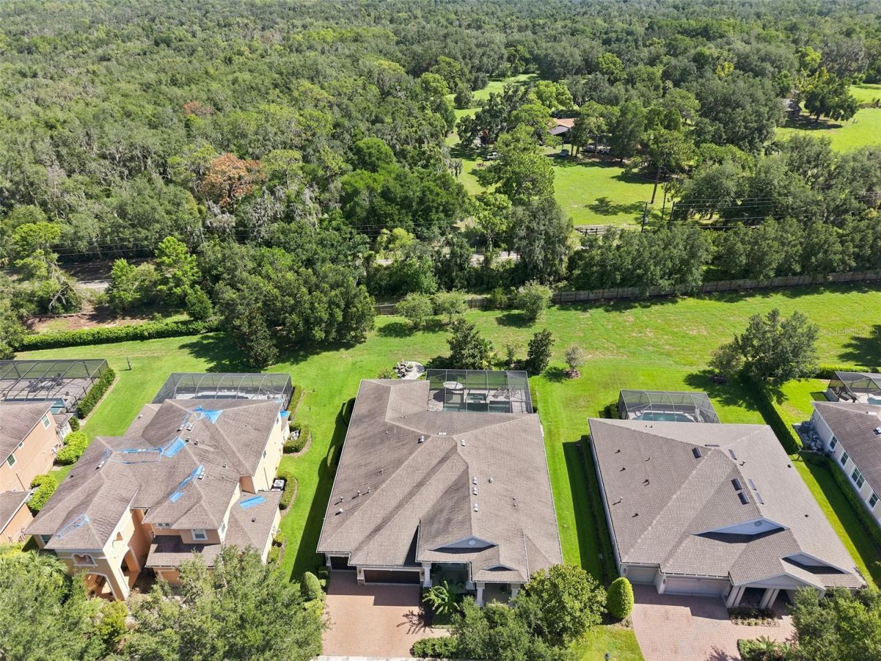 15512 Mossy Ridge Lane, Lithia, FL 33547 Photo