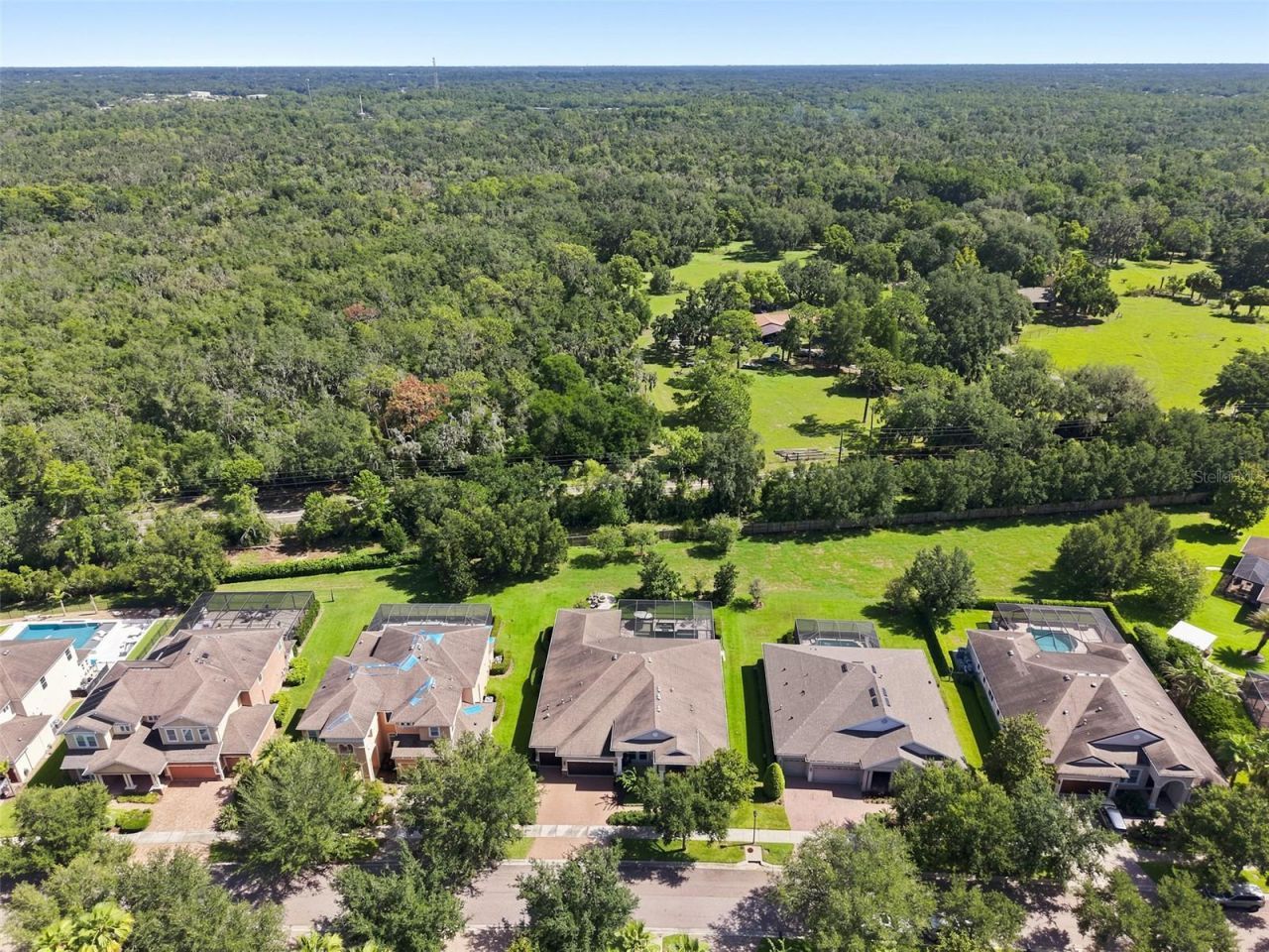 15512 Mossy Ridge Lane, Lithia, FL 33547 Photo