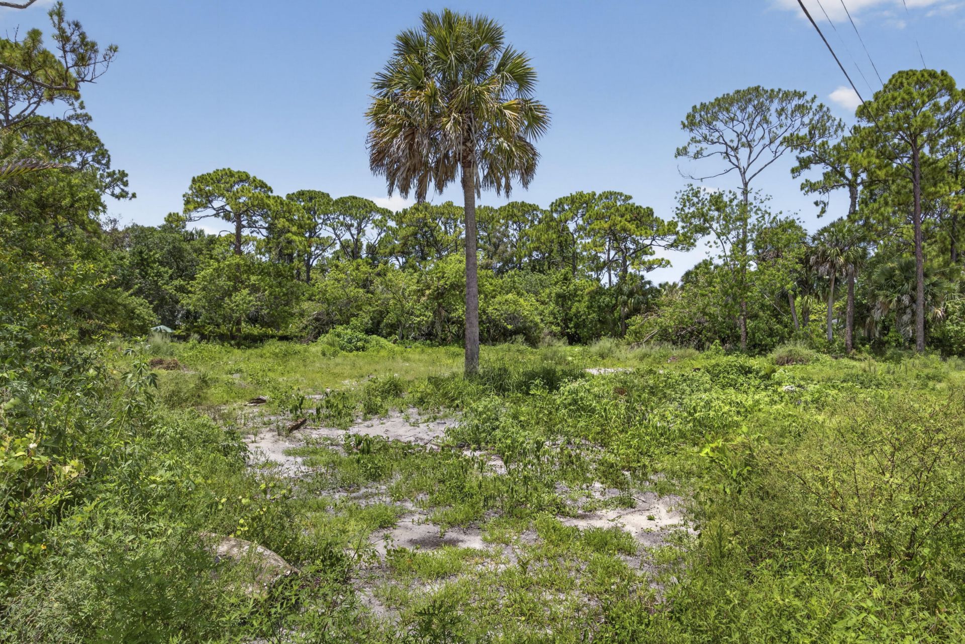 17072 93rd Road N, The Acreage, FL 33470 Photo