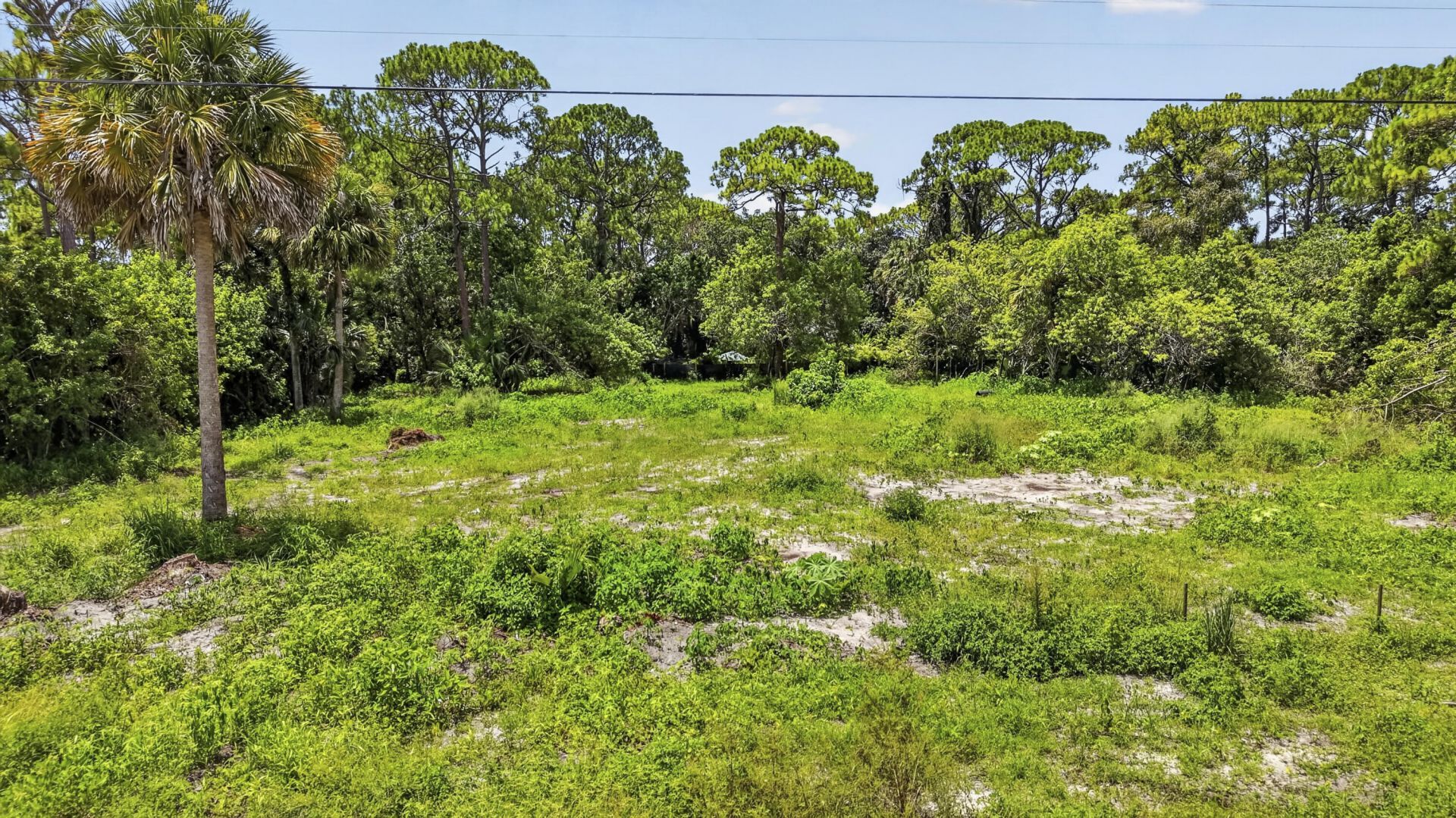 17072 93rd Road N, The Acreage, FL 33470 Photo