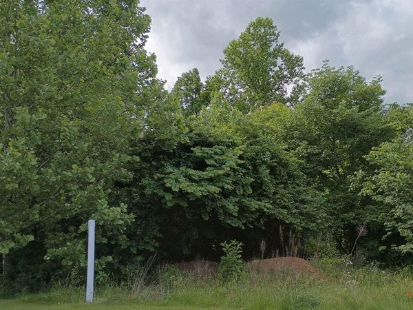 5062 & 5058 W September Drive, Bloomington, IN 47404