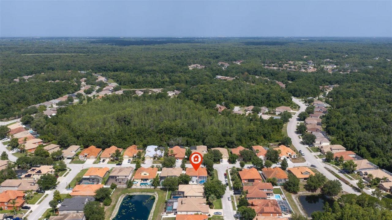 11508 Oyster Bay Circle, New Port Richey, FL 34654 Photo