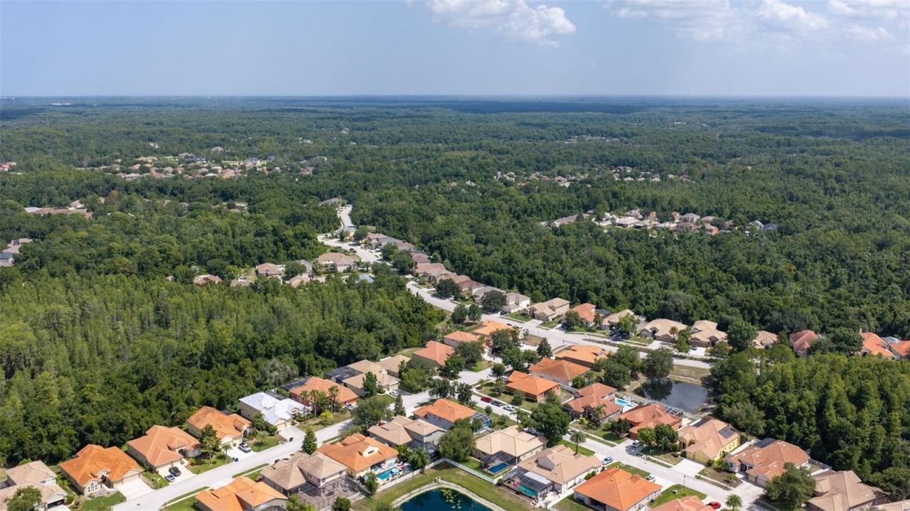 11508 Oyster Bay Circle, New Port Richey, FL 34654 Photo