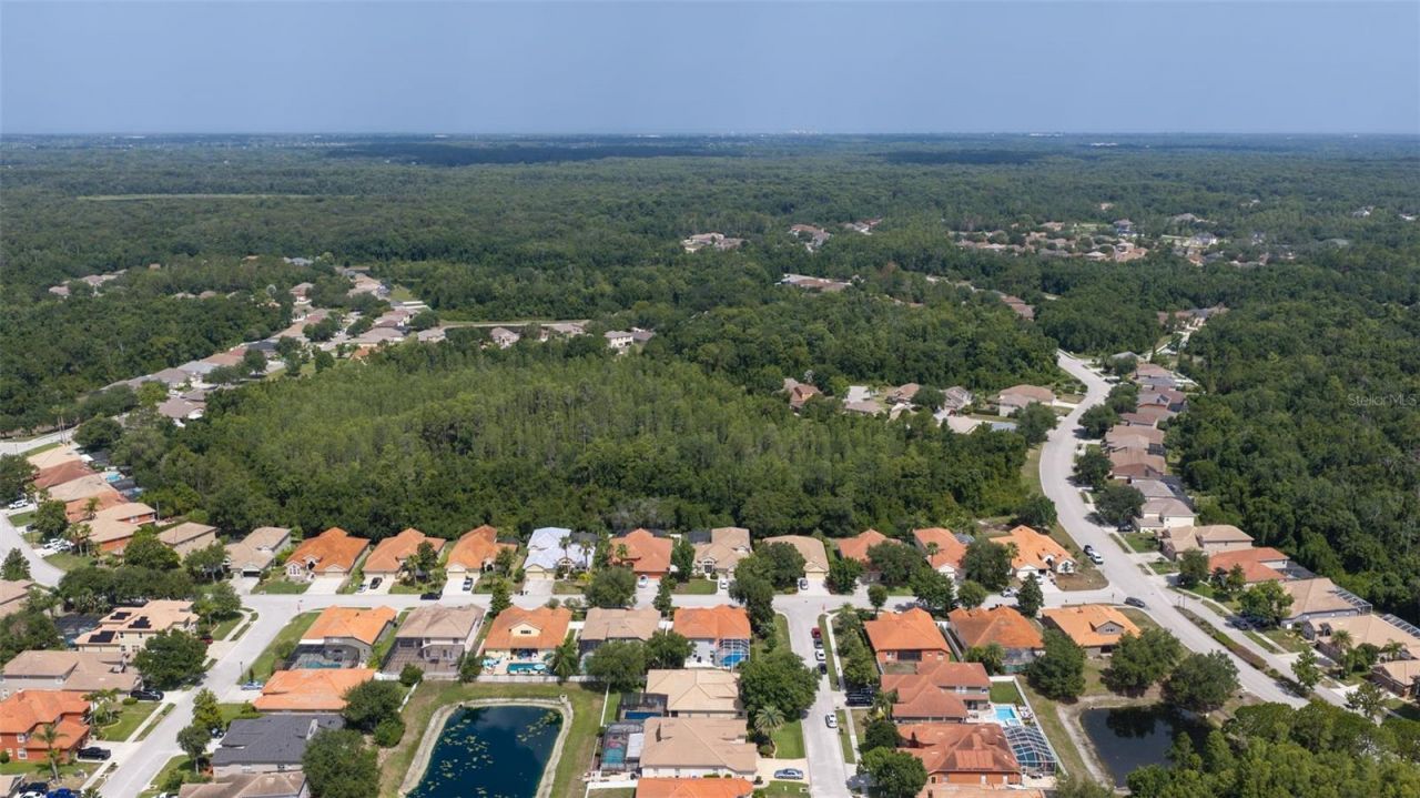 11508 Oyster Bay Circle, New Port Richey, FL 34654 Photo