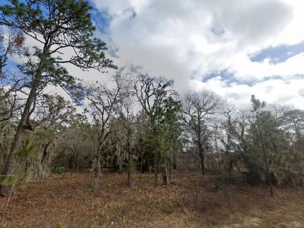 CRIDER ROAD , WEEKI WACHEE, FL 34614