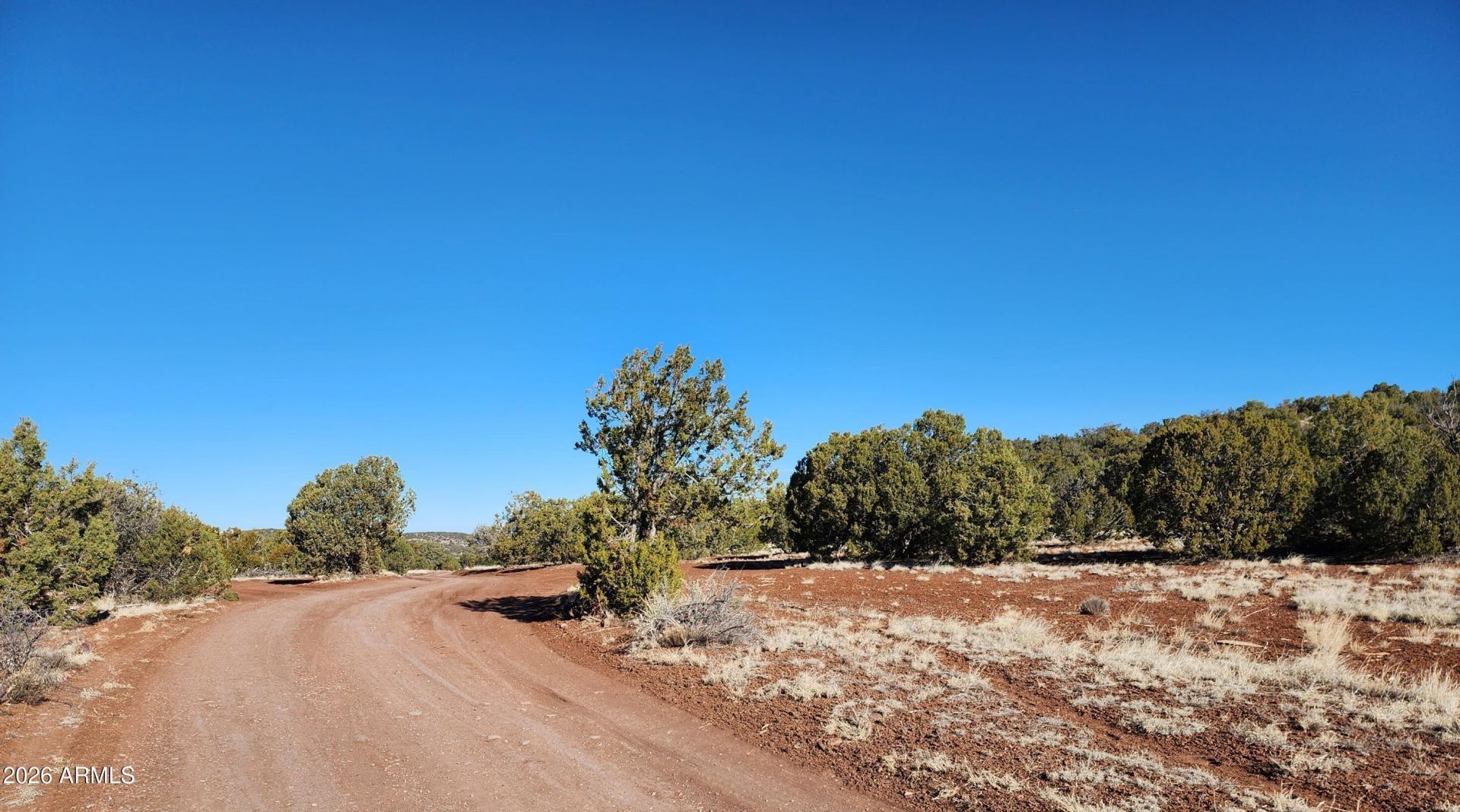 4 County Rd N8715, Lot #-, Concho, AZ 85924 Main Photo