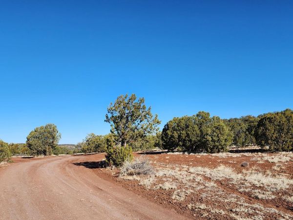 4 County Rd N8715, Unit -, Concho, AZ 85924