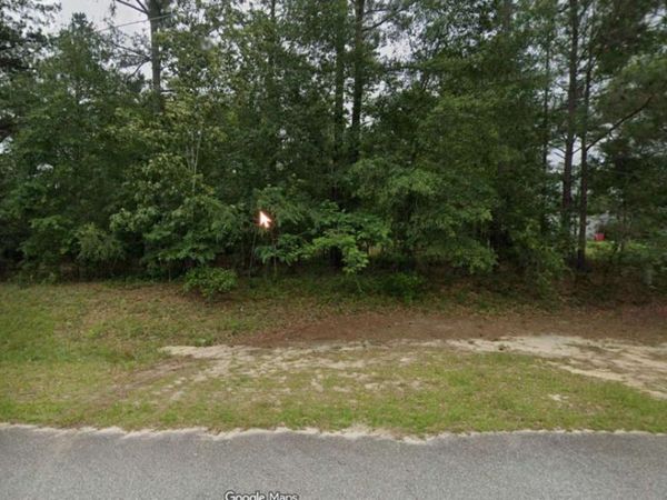 213 Briar Creek Run, Lizella, GA 31052