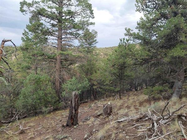 222 Sunrise Road, South Fork, CO 81154