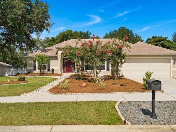 1115 LAKEVIEW OAKS DRIVE, MINNEOLA, FL 34715