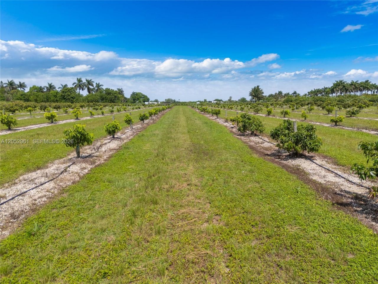 316xx SW 228th Ave, Homestead, FL 33030 Photo