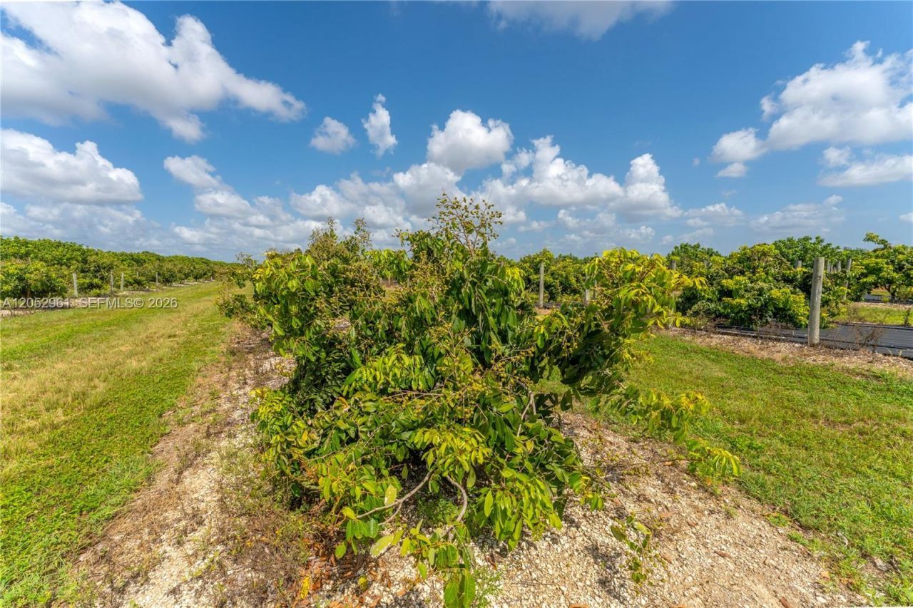 316xx SW 228th Ave, Homestead, FL 33030 Photo