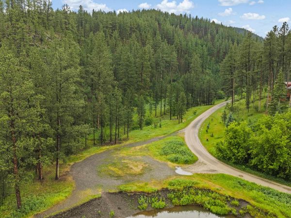TBD Edelweiss Mountain Road, Silver City, SD 57702