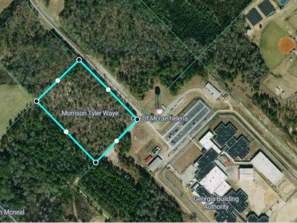 0 Jim Hammock Drive, Mcrae, GA 31055