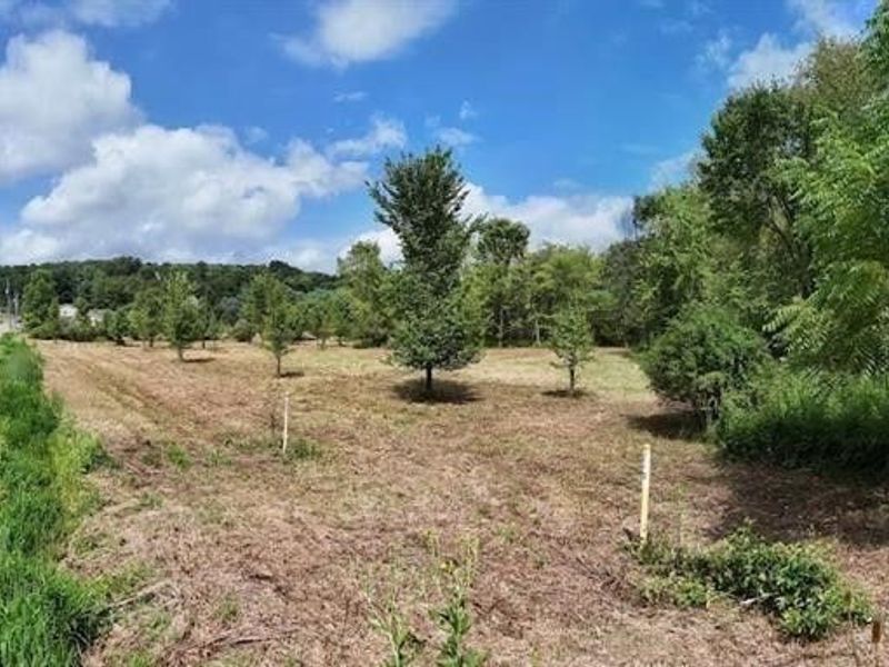 Swonger Road, Dover, OH 44622 Photo 3