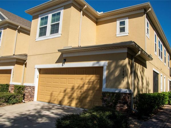 17459 CHATEAU PINE WAY , CLERMONT, FL 34711