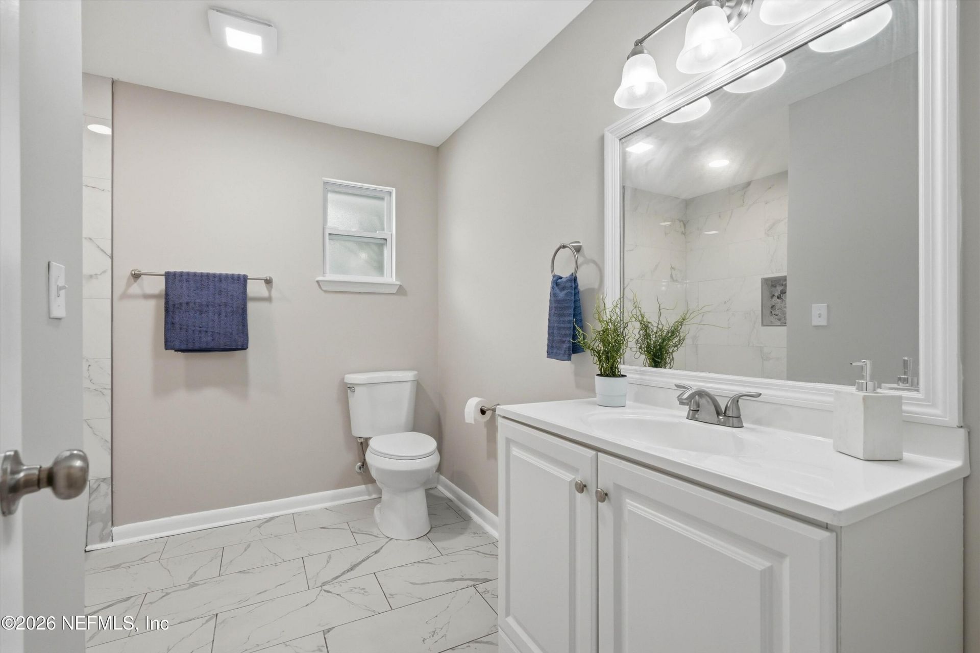 3662 Mateo Place, Orange Park, FL 32065 Photo