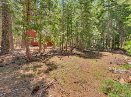 7279 6th Avenue , Tahoma, CA 96142 Photo