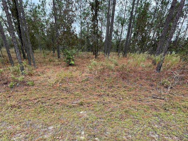 SE 133RD AVENUE , DUNNELLON, FL 34431