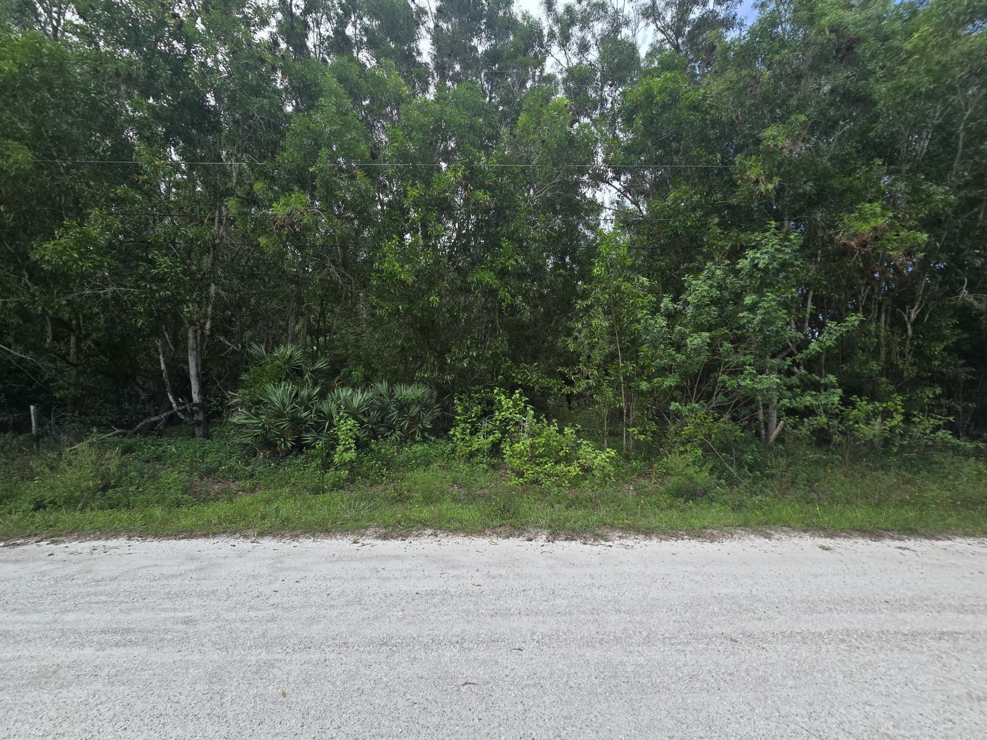 17665 46th Court N, The Acreage, FL 33470 Photo