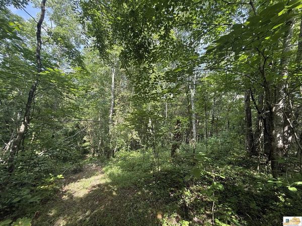 1710 Highway 1952 , Columbia, KY 42728