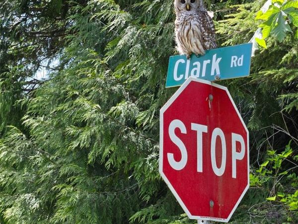 Lot 13 Clark Rd , Sooke, BC V9Z 0K5