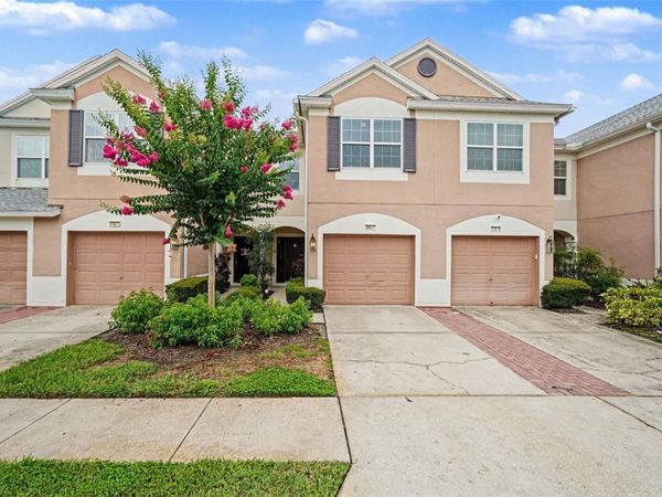 26533 CASTLEVIEW WAY , WESLEY CHAPEL, FL 33544