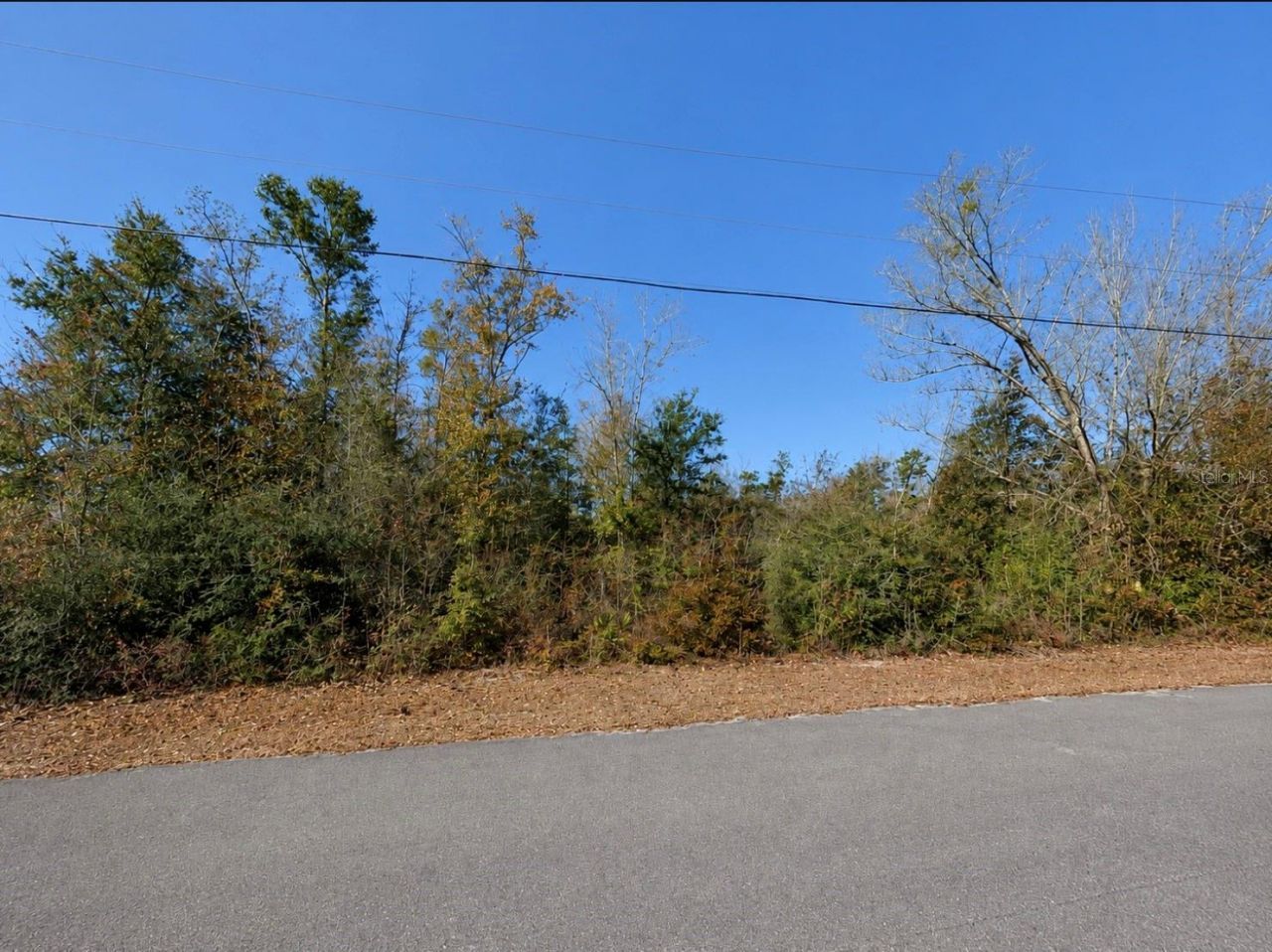 5527 Lakewood Circle, Panama City, FL 32404 Photo