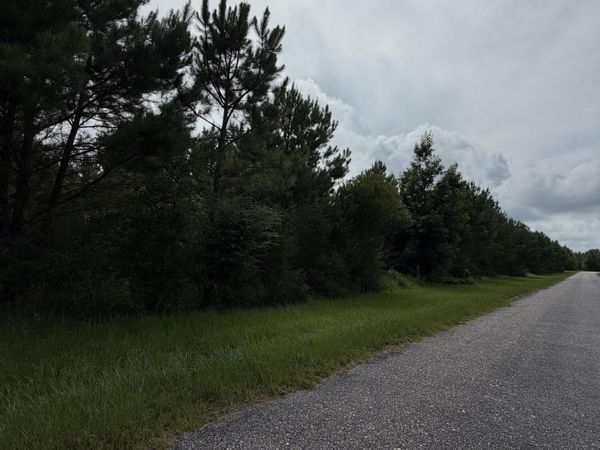 Parcel 2 R Thompson, Lumberton, MS 39455